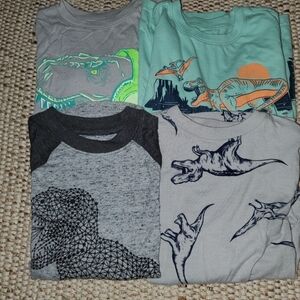 Boys XS Dinosaur Graphic Long Sleeve Set